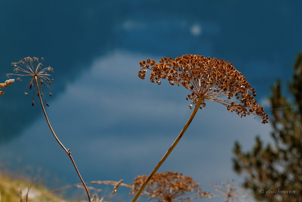 20140928_087